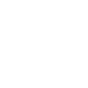 Chat GPT Open AI logo