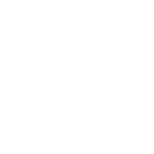 Perplexity logo